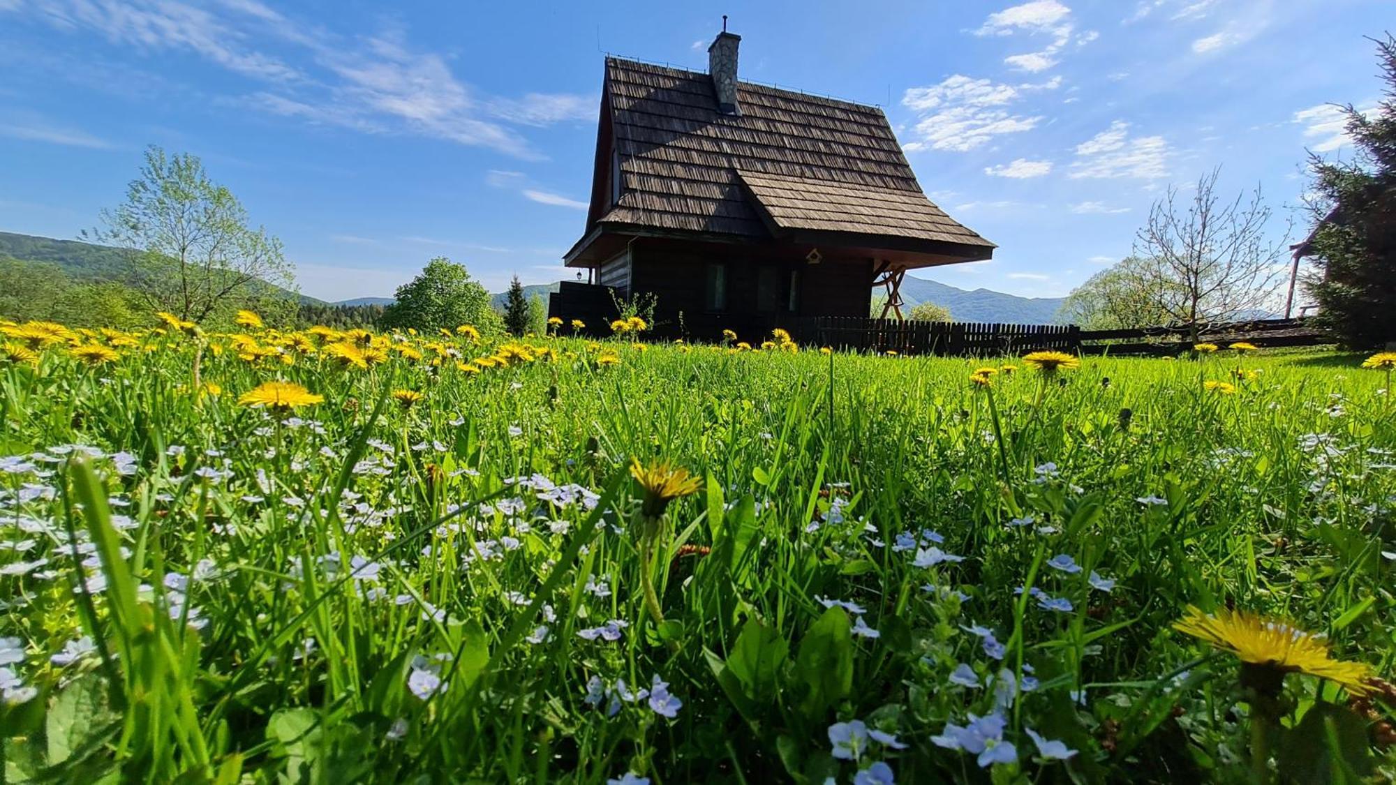Chatka Kudlatka Wetlina Kültér fotó